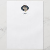 De Piraat van de Schoen van de Hond van Ausky Folders