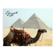 de piramide van kameelEgypte Wens Kaart
