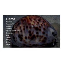 De porceleinslak van de tijger (Cypraea Tigris) Sh Visitekaartjes Sjabloon