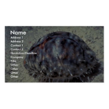 De porceleinslak van de tijger (Cypraea Tigris) Sh Visitekaart Sjablonen