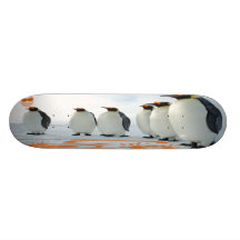 De Pret van de pinguïn in The Sun Skate Decks