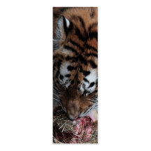 De Referentie van de tijger Visitekaartjes Sjabloon