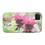 De rode Bloei van de Balsem van de Bij iPhone 4/4S Cover