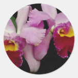 De rode bloemen van cattleyaIrene Finney van de Or Ronde Stickers