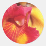 De rode Vurige bloemen van de Orchidee Stickers