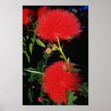 De rookwolkbloemen van de roodharige poster
