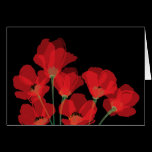 De Rouge Sur Noir van Fleurs kaarten