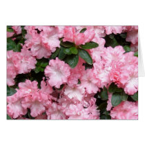 De roze Kaart van de Azalea kaarten