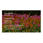 De roze Lente bloeit bloemen Visitekaartjes