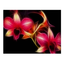 De Roze Orchidee van Fractalius Wens Kaarten