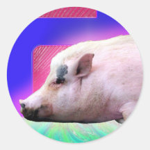 De roze Sticker van het Varken