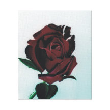 De rozemarijn nam toe stretched canvas prints