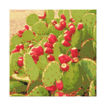 De Samenvatting van de Foto van de Vijgcactus Stretched Canvas Afdruk