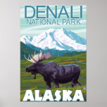 De Scène van Amerikaanse elanden - Denali Nationaa Plaat