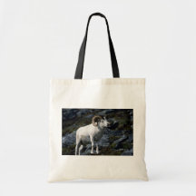 De schapen van Dall (Grote ram) Draagtas