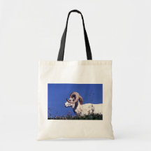 De schapen van Dall (Grote ram) Tassen