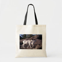 De schapen van Dall (Paar rammen) Tas