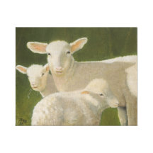 De Schapen van de moeder Stretched Canvas Afdruk