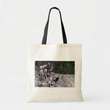 De schapen van de steen (Ooien en lammeren) Draagtas