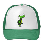 De Schildpad van de cartoon Trucker Petten