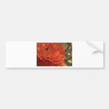 De Schoonheid van naturen Bumperstickers