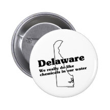 De Slogan van de Staat van Delaware Speld Button