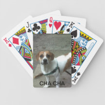 De Speelkaarten van Cha van Cha