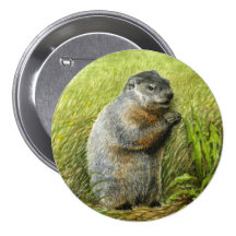 De speld/de knoop van Groundhog Speldbutton