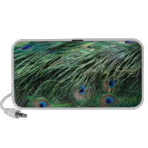 De Spreker van de Veren van de pauw iPod Speaker