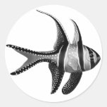 De sticker van Banggai Cardinalfish