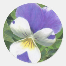 De Sticker van de altviool