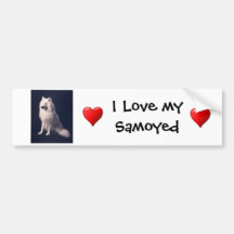 De Sticker van de Bumper van de Liefde van Samoyed Bumperstickers