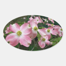De sticker van de kornoelje