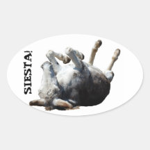 De Sticker van de siësta