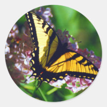 De Sticker van de Vlinder van Swallowtail