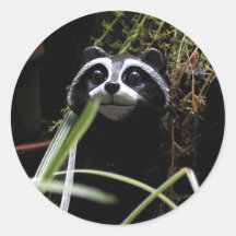 De Sticker van de wasbeer