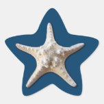 De Sticker van de zeester - Marine