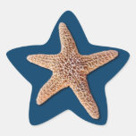 De Sticker van de zeester - Marine