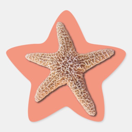 De Sticker van de zeester - Perzik
