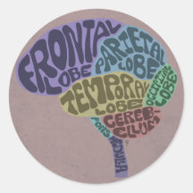 De Sticker van hersenen
