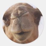 De Stickers van de kameel