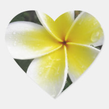 De Stickers van Frangipani en van Regendruppels
