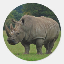 De stickers van het nijlpaard