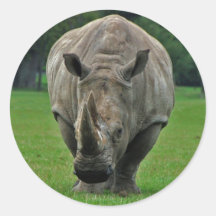 De stickers van het nijlpaard