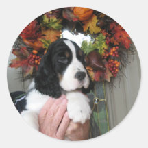 De Stickers van het Spaniel van de aanzetsteen