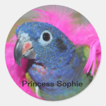 De stickers van Sophie van de prinses