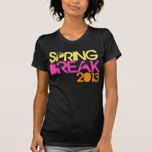 De T-shirt van de ONDERBREKING 2013 van de LENTE