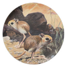 De T-stukken en de Giften van de springmuis Party Bord