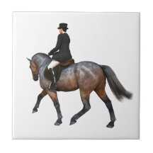 De Tegel van het Paard van de Dressuur van de baai Tegeltje