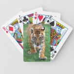 De tijger die van het baby u bekijken poker kaarten